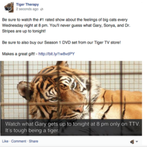 Tiger therapy