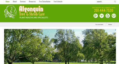 algonquin-tree-website-screenshot