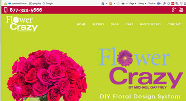 flower crazy by michael-website-screenshot