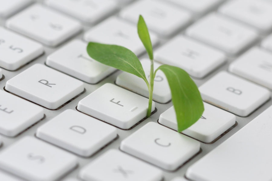 leaf on keyboard